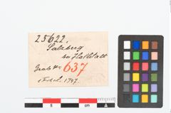 Etikett zu Bronzepferdchenfibel (NHMW-PRAE-025622)